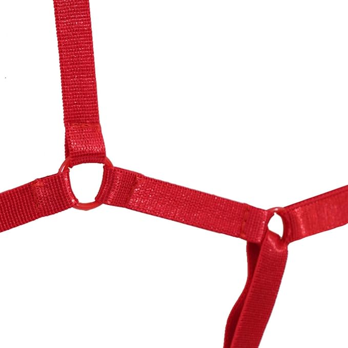 Höschen mit offenem Zugangsriemen (Rot)